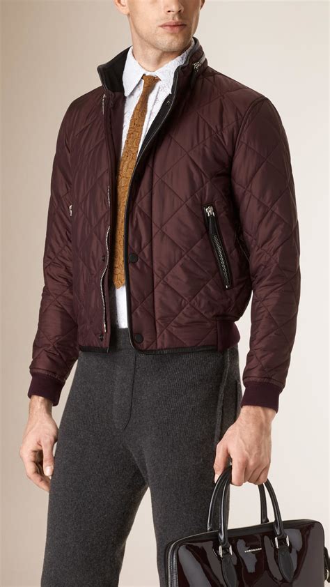 burberry mens bomber|burberry men's quilted bomber jackets.